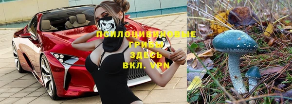 a pvp Богородск