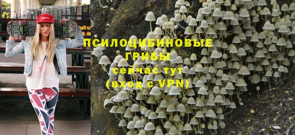 метамфетамин Белокуриха