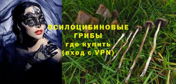a pvp Богородск